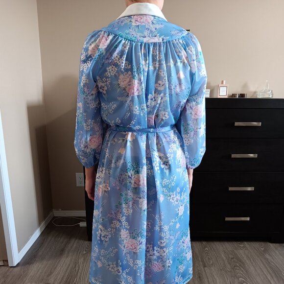 Vintage Sheer Blue Floral Dress Peter Pan Collar Button Up Neck Matching Belt - Picture 3 of 7